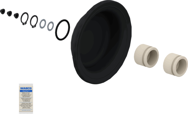 1000573285