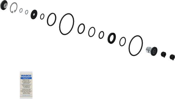 1000437355