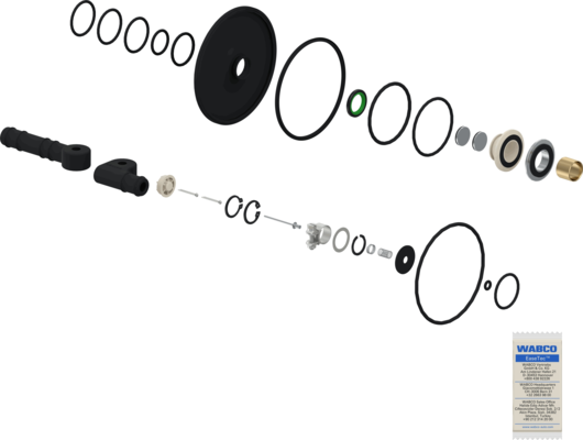 1000236702