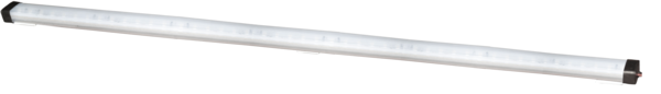 1000641354