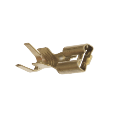 1000421261