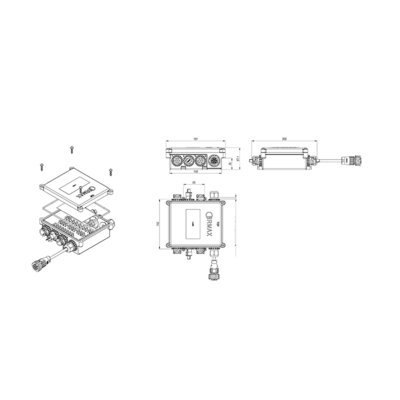 1000433091