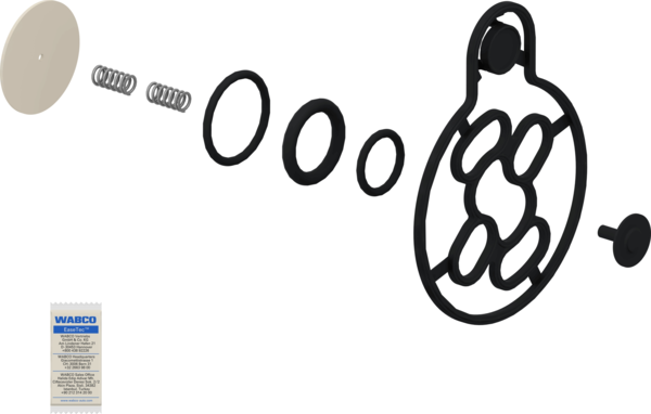 1000573063